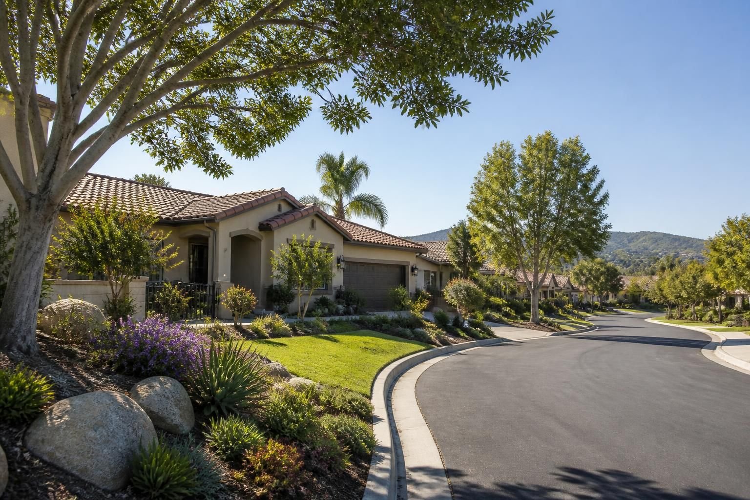 Sunlit residential neighborhood in Vista, California.